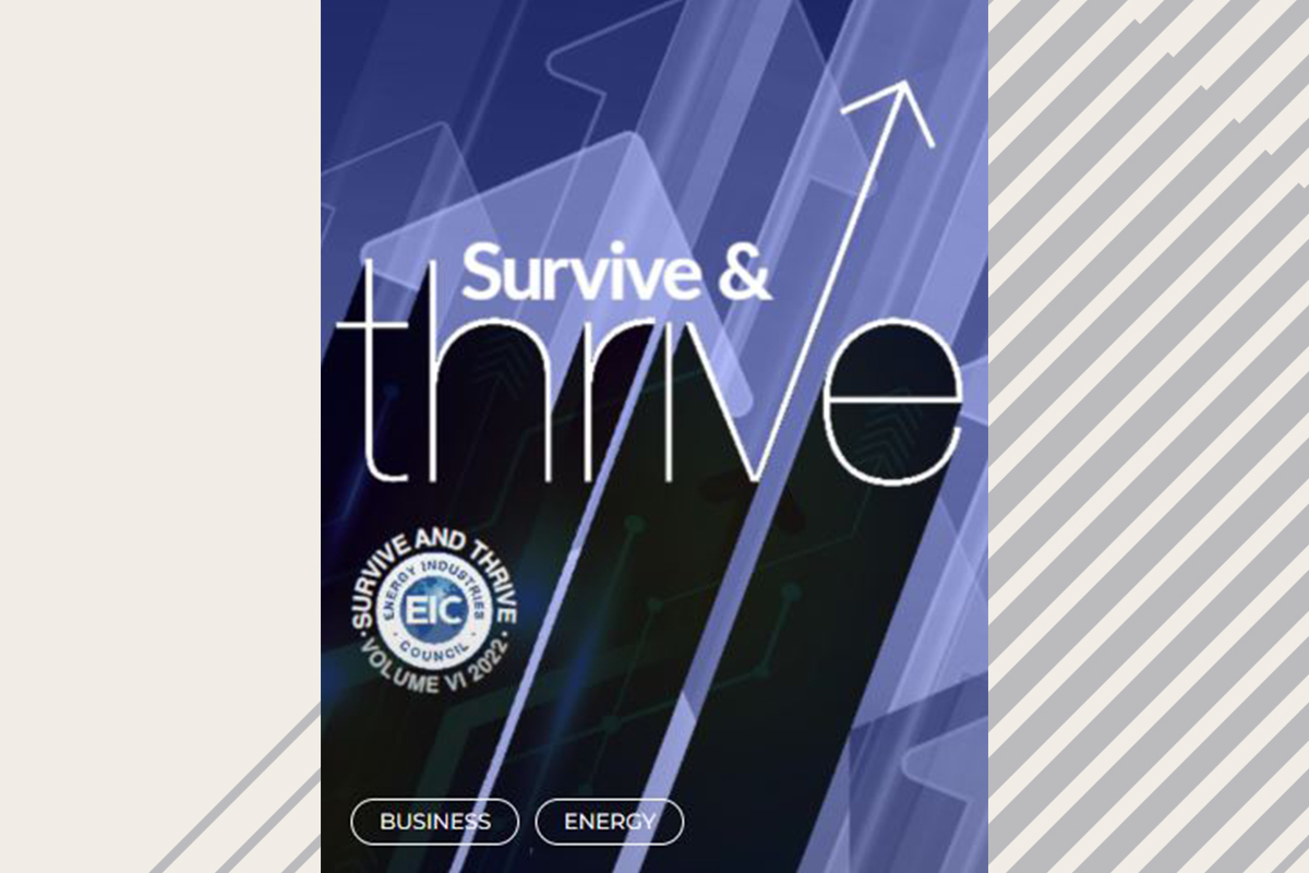 EIC release Survive and Thrive VI report AIS